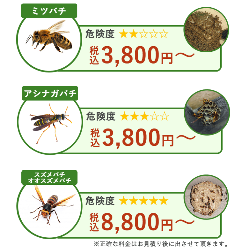 ミツバチ　アシナガバチ　スズメバチ　オオスズメバチの駆除にかかる費用の画像