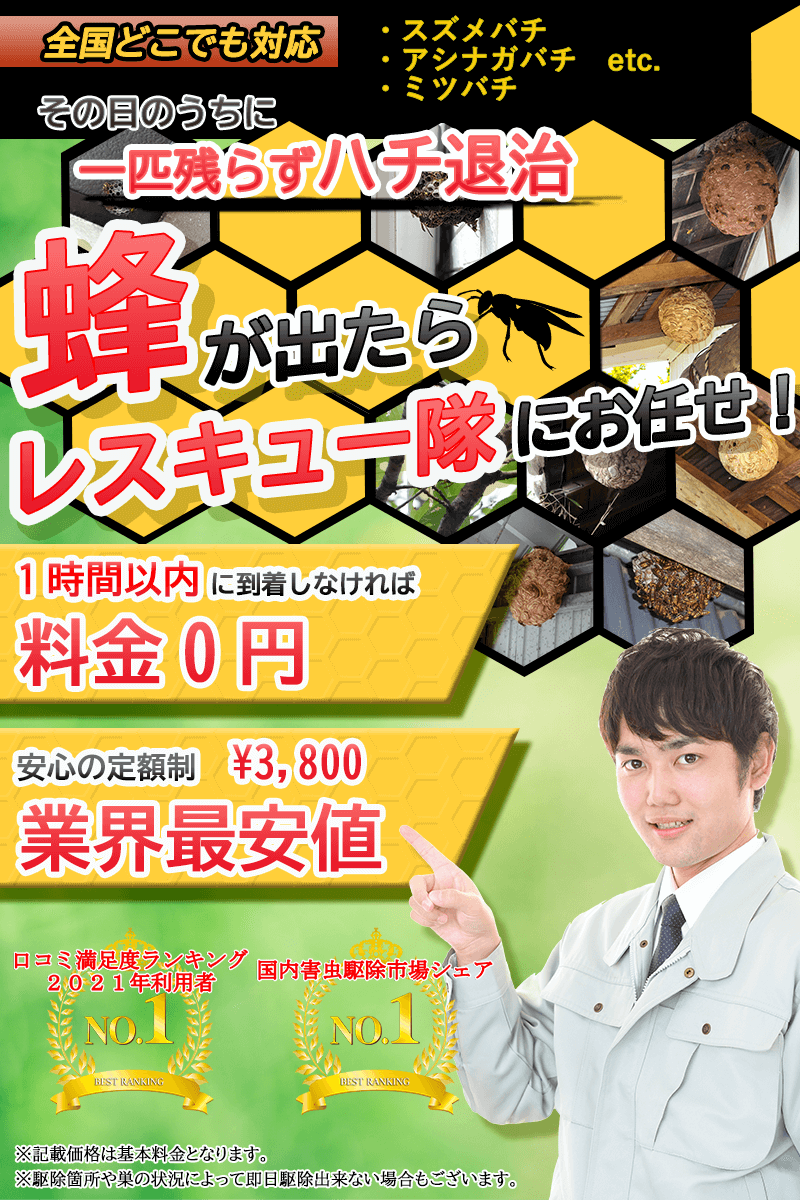 【定価66000円】蜂武者　2022年式（旧式） 楽天市場】超軽量蜂武者冷却ファンセット 【モバイルバッテリー
